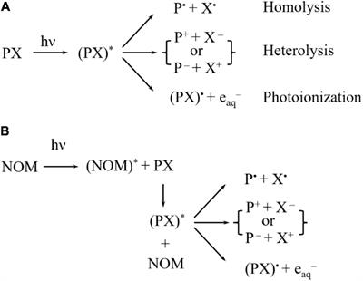 Photolysis for the Removal and Transformation of Pesticide Residues During Food Processing: A State-of-the-Art Minireview
